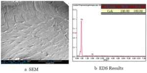 Figure 5 SEM and EDS Results of the FPC Pad Surface at the Location of Component Detachment in the Failed Sample Figure 5 SEM and EDS Results of the FPC Pad Surface at the Location of Component Detachment in the Failed Sample